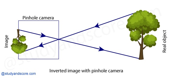 NCERT notes, free, CBSE notes, light, shadow, reflection, Transparent, opaque, translucent, pinhole camera, mirror, light travels in straight lines
